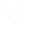Ava