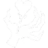 Soul Exchange