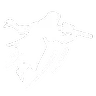 Flight