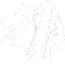 Flying Cloak