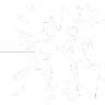 Arctic Beam