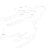Flying Slash