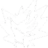 Shocking Reanimation