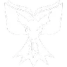 Bookwyrm