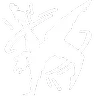 Bullet Dance